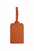 Voyager Luggage Tag
